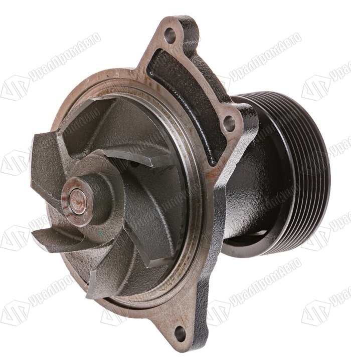 bnaavhuihlb24ux5ngisytn6gq5k4m35