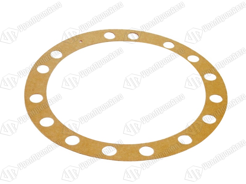 55571-2304052-01 (2)