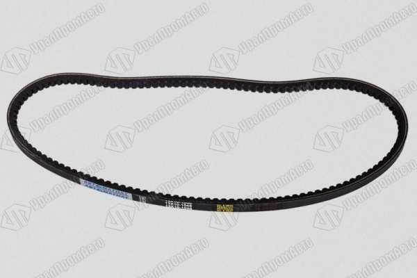 2vzjqeg7bdxn6s7zsr8blkijrn43o0o4