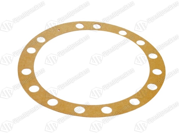 55571-2304052-01 (2)