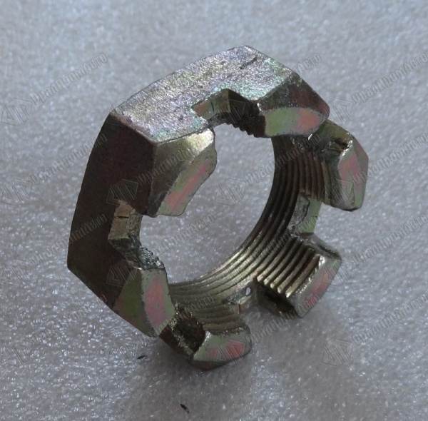 000011584