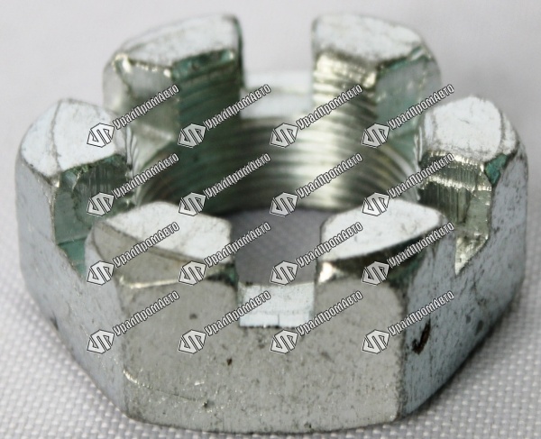 000009965_2